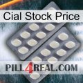 Cial Stock Price 07